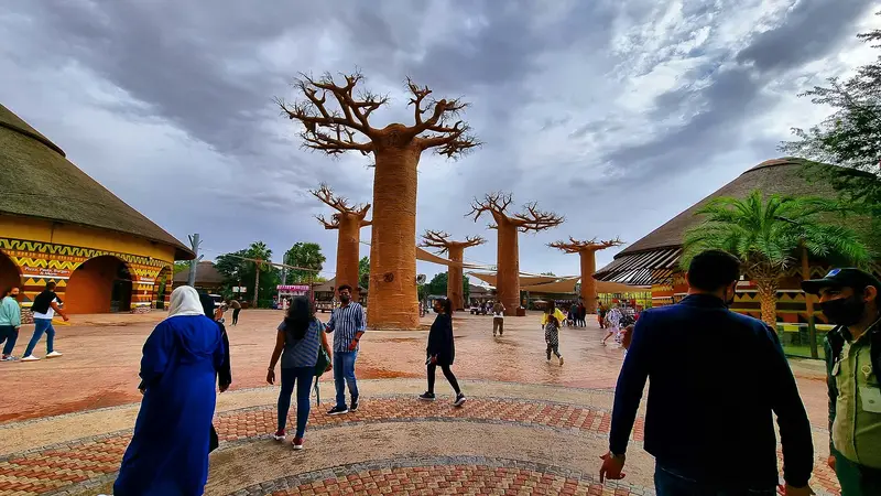 Baobab sculptures on the main plaza at Dubai Safari Park